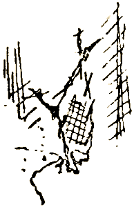 Маленькие дикари (Рисунки автора) - i_152.png