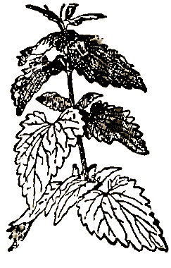 Маленькие дикари (Рисунки автора) - i_160.png