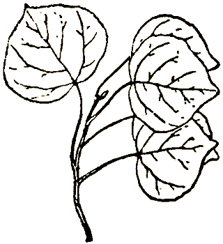 Маленькие дикари (Рисунки автора) - i_234.png