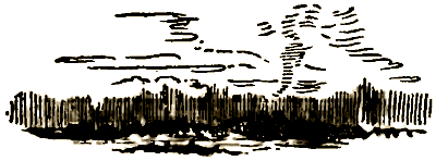 Маленькие дикари (Рисунки автора) - i_235.png