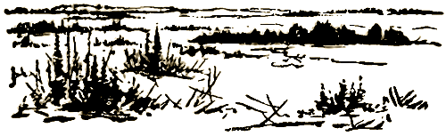 Маленькие дикари (Рисунки автора) - i_236.png