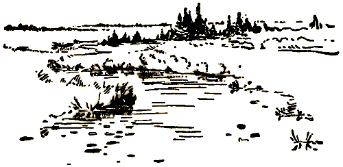 Маленькие дикари (Рисунки автора) - i_237.png