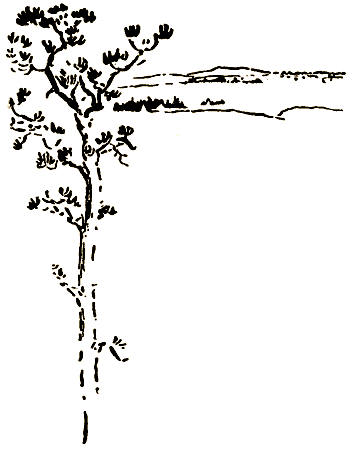 Маленькие дикари (Рисунки автора) - i_238.png