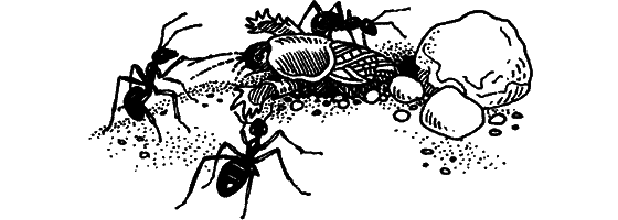 Загадки остались - i_009.png