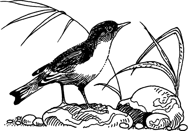 Загадки остались - i_010.png