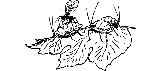 Загадки остались - i_017.png