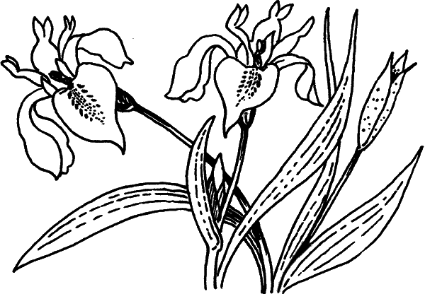 Загадки остались - i_018.png