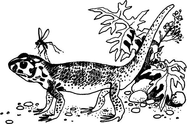 Загадки остались - i_022.png