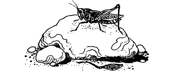 Загадки остались - i_025.png