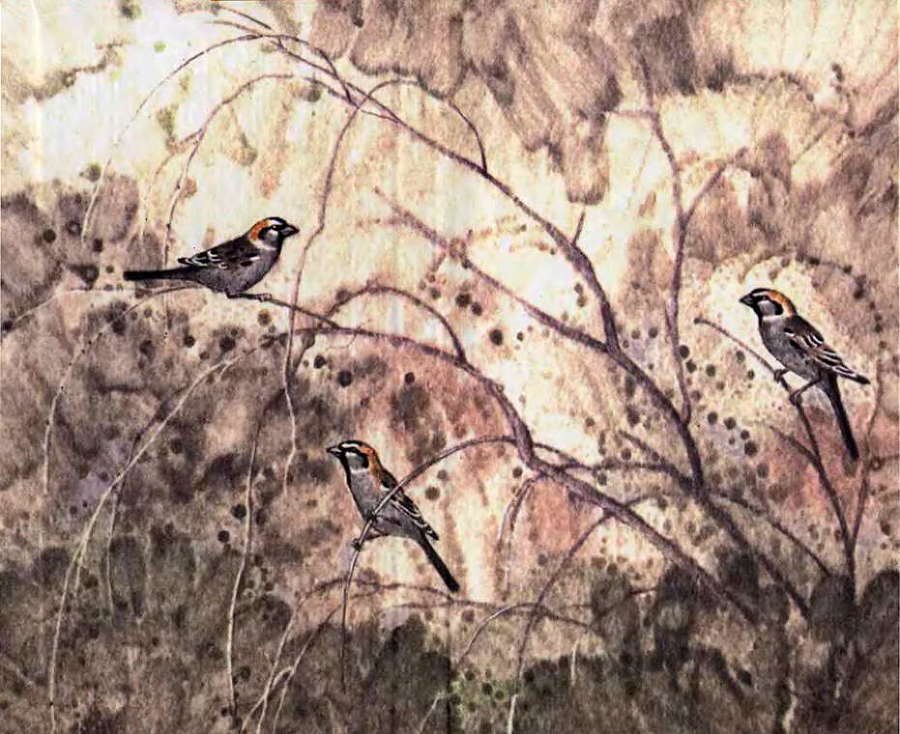 Загадки остались - i_029.jpg