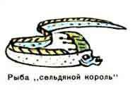 Новые приключения матроса Кошкина на шхуне «Удача» - mkosh15_14.jpg
