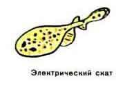 Новые приключения матроса Кошкина на шхуне «Удача» - mkosh15_17.jpg