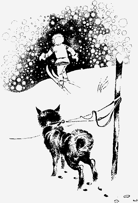 Антери, сын Лапландии - img06.png