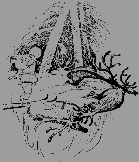 Антери, сын Лапландии - img19.png