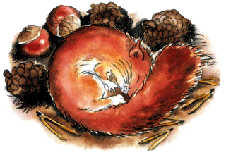 В гостях у Санта-Клауса - i_010.png