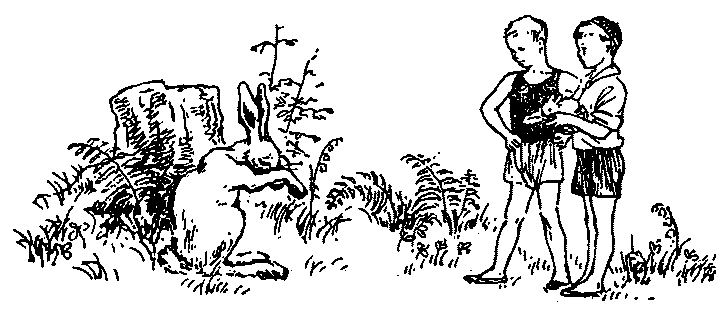 Тридцать три желания (сборник) - pic06.png