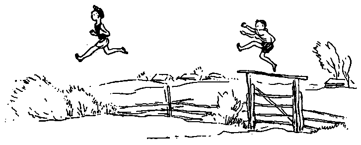 Тридцать три желания (сборник) - pic07.png