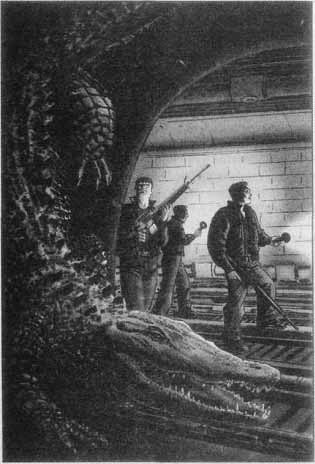 Дикие карты - pict08.jpg