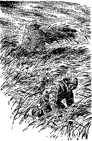 По Уссурийскому краю - _8.png_0.png