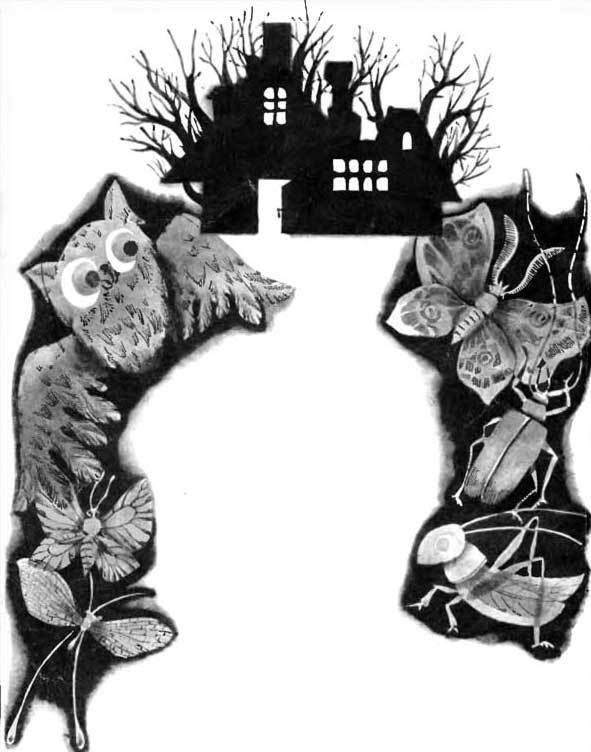 Сыграем в прятки - DLM_24.jpg