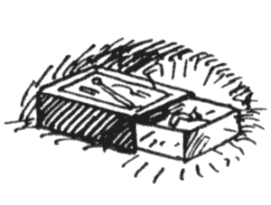 Избранное. Повести и рассказы - i_005.png