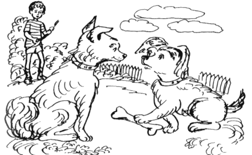 Избранное. Повести и рассказы - i_022.png