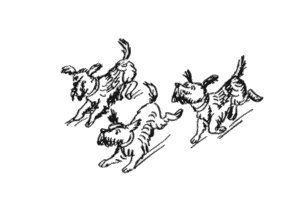 Избранное. Повести и рассказы - i_082.png