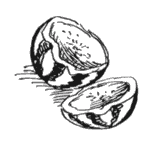 Избранное. Повести и рассказы - i_090.png