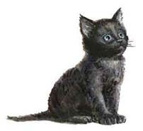 Черныш - i_002.jpg