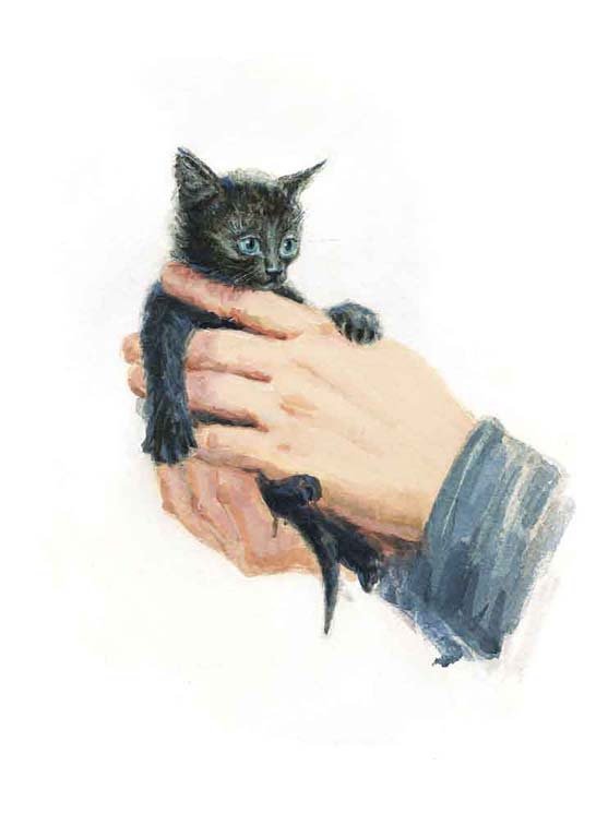 Черныш - i_007.jpg