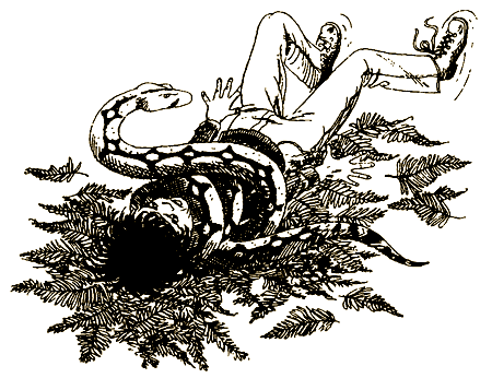 Пещера Времени - i_021.png