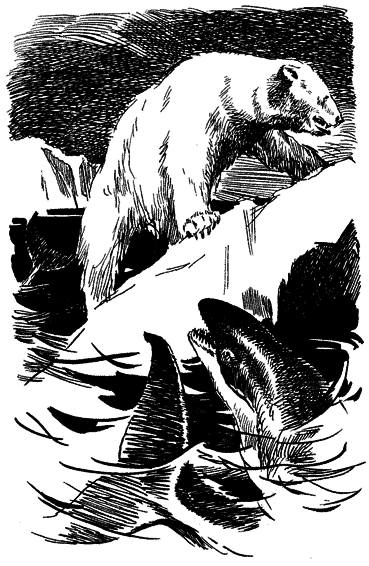 Повесть о белой медведице - _4.png