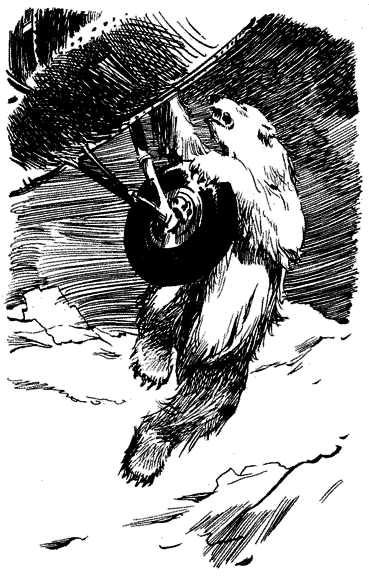 Повесть о белой медведице - _7.png