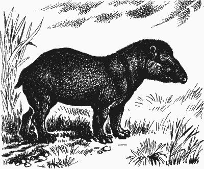 Человек идет - i_004.png