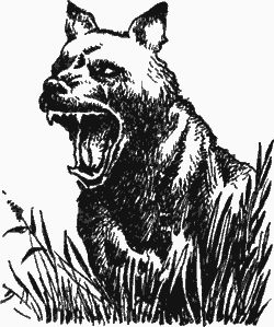 Человек идет - i_006.png