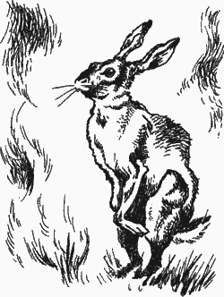 Человек идет - i_016.png