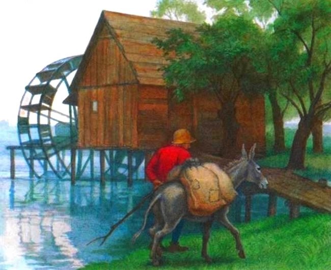 Чудесные сказки о животных - i_005.jpg