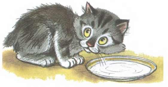 Приключения Бесхвостика Пелле - i_004.jpg