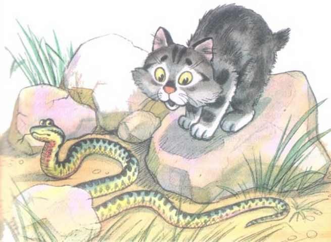 Приключения Бесхвостика Пелле - i_007.jpg