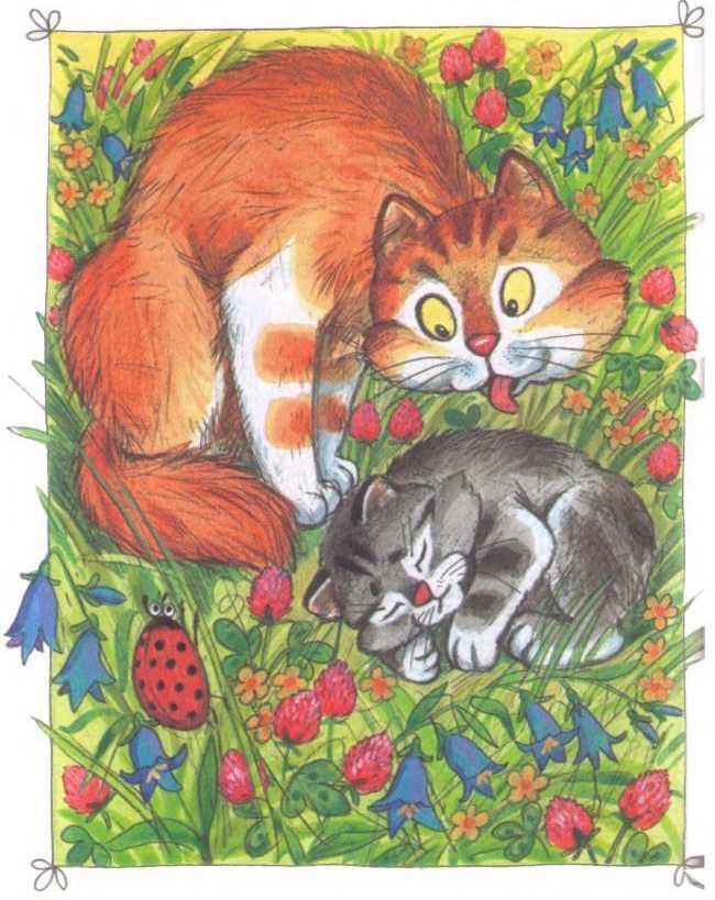 Приключения Бесхвостика Пелле - i_009.jpg