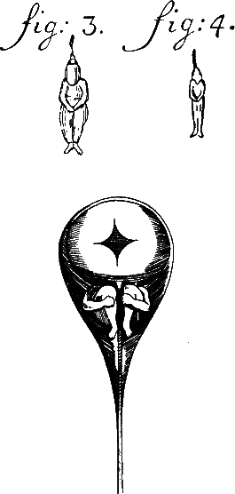 Аксиомы биологии - i_06.png