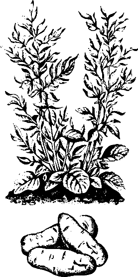 Аксиомы биологии - i_16.png