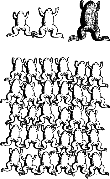 Аксиомы биологии - i_43.png