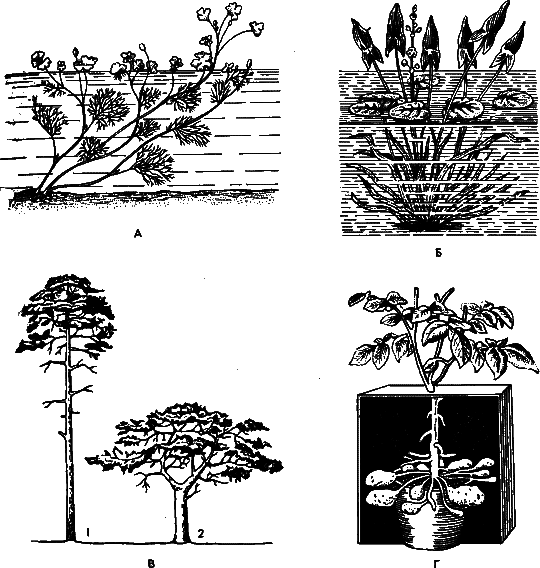 Аксиомы биологии - i_44.png