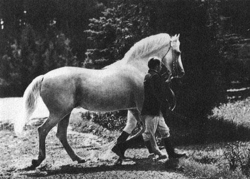 Кони в океане - i_007.jpg