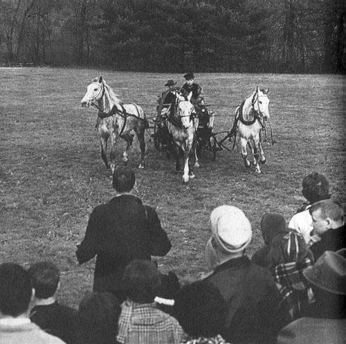 Кони в океане - i_011.jpg