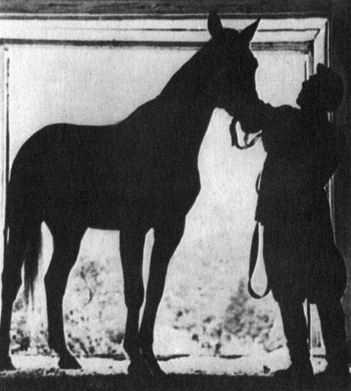 Кони в океане - i_012.jpg