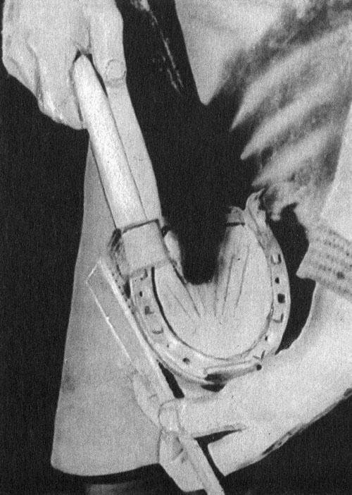 Кони в океане - i_015.jpg