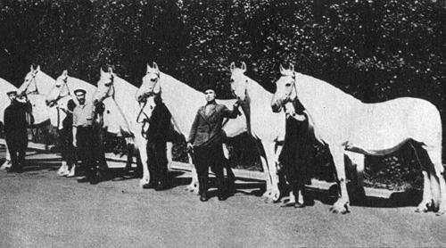 Кони в океане - i_017.jpg