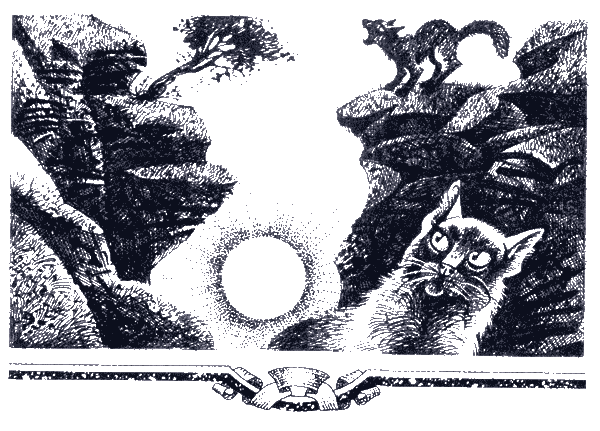 Судьба Небесного племени.  Сомнение - i_003.png